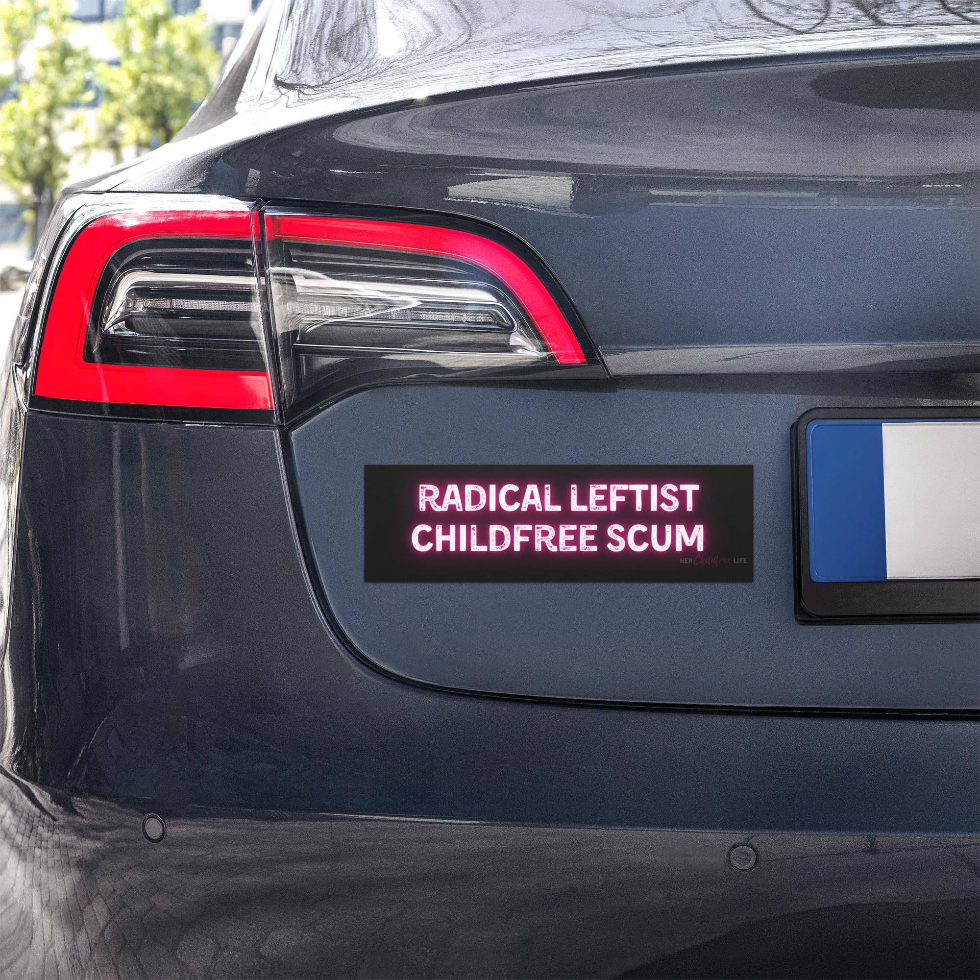 Radical Leftist Childfree Scum | Car Magnet